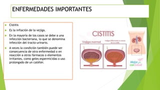  Cistitis
 Es la inflación de la vejiga.
 En la mayoría de los casos se debe a una
infección bacteriana, lo que se denomina
infección del tracto urinario.
 A veces la condición también puede ser
consecuencia de otra enfermedad o en
reacción a otros fármacos o elementos
irritantes, como geles espermicidas o uso
prolongado de un catéter.
ENFERMEDADES IMPORTANTES
 