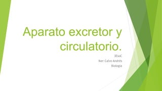 Aparato excretor y
circulatorio.
3EsoC
Iker Calvo Andrés
Biología
 