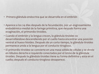 • Primera glándula endocrina que se desarrolla en el embrión

• Aparece a los 24 días después de la fecundación, por un engrosamiento
  endodérmico medial de la faringe primitiva, que después forma una
  evaginación, el primordio tiroideo.
• Cuando el embrión y la lengua crecen, la glándula tiroides va
  desarrollándose descendiendo por el cuello hasta encontrar una posición
  ventral al hueso hioides. Después de un corto tiempo, la glándula tiroides
  permanece unida a la lengua por el conducto tirogloso.
• El primordio tiroideo se convierte en una masa sólida de células y se divide
  en lóbulos derecho e izquierdo conectados por el istmo de la glándula
  tiroides. Después la glándula tiroides tiene su forma definitiva y esta en el
  cuello; después el conducto tirogloso desaparece.
 
