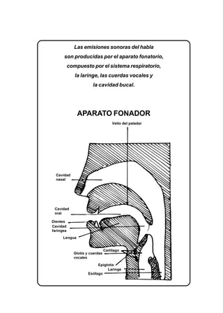 EL LENGUAJE VERBAL DEL NIÑO 123
Las emisiones sonoras del habla
son producidas por el aparato fonatorio,
compuesto por el sistema respiratorio,
la laringe, las cuerdas vocales y
la cavidad bucal.
APARATO FONADOR
 