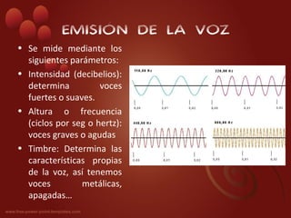EMISIÓN DE LA VOZ
• Se mide mediante los
  siguientes parámetros:
• Intensidad (decibelios):
  determina          voces
  fuertes o suaves.
• Altura o frecuencia
  (ciclos por seg o hertz):
  voces graves o agudas
• Timbre: Determina las
  características propias
  de la voz, así tenemos
  voces         metálicas,
  apagadas…
 
