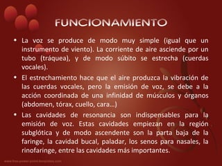 FUNCIONAMIENTO
• La voz se produce de modo muy simple (igual que un
  instrumento de viento). La corriente de aire asciende por un
  tubo (tráquea), y de modo súbito se estrecha (cuerdas
  vocales).
• El estrechamiento hace que el aire produzca la vibración de
  las cuerdas vocales, pero la emisión de voz, se debe a la
  acción coordinada de una infinidad de músculos y órganos
  (abdomen, tórax, cuello, cara…)
• Las cavidades de resonancia son indispensables para la
  emisión de voz. Estas cavidades empiezan en la región
  subglótica y de modo ascendente son la parta baja de la
  faringe, la cavidad bucal, paladar, los senos para nasales, la
  rinofaringe, entre las cavidades más importantes.
 