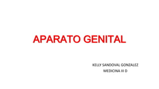 APARATO GENITAL
KELLY SANDOVAL GONZALEZ
MEDICINA III D
 