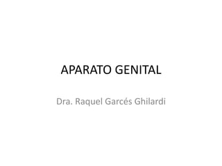 APARATO GENITAL
Dra. Raquel Garcés Ghilardi
 