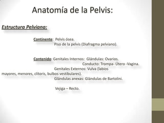 Anatomía de la Pelvis:
Estructura Pelviana:

                   Continente: Pelvis ósea.
                              Piso de la pelvis (Diafragma pelviano).


                 Contenido: Genitales Internos: Glándulas: Ovarios.
                                                  Conducto: Trompa- Útero -Vagina.
                                Genitales Externos: Vulva (labios
mayores, menores, clítoris, bulbos vestibulares).
                                Glándulas anexas: Glándulas de Bartolini.

                               Vejiga – Recto.
 