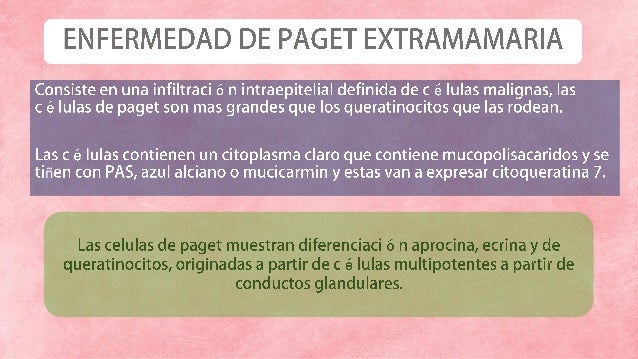 Aparato Genital Femenino