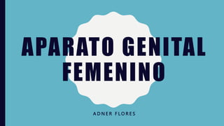 APARATO GENITAL
FEMENINO
A D N E R F L O R E S
 
