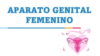APARATO GENITAL
FEMENINO
 