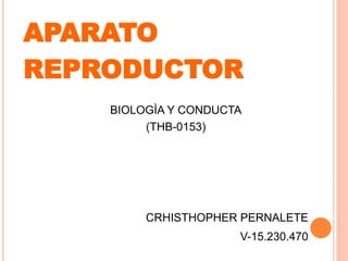 APARATO
REPRODUCTOR
BIOLOGÌA Y CONDUCTA
(THB-0153)
CRHISTHOPHER PERNALETE
V-15.230.470
 