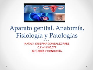 Aparato genital. Anatomía,
Fisiología y Patologías
NATALY JOSEFINA GONZÁLEZ PÁEZ
C.I.V-13185.577
BIOLOGÍA Y CONDUCTA
 