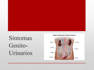 Síntomas
Genito-
Urinarios
 
