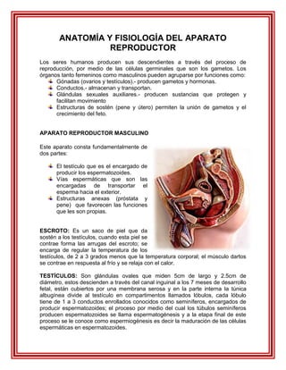 ANATOMÍA Y FISIOLOGÍA DEL APARATO
                 REPRODUCTOR
Los seres humanos producen sus descendientes a través del proceso de
reproducción, por medio de las células germinales que son los gametos. Los
órganos tanto femeninos como masculinos pueden agruparse por funciones como:
      Gónadas (ovarios y testículos).- producen gametos y hormonas.
      Conductos.- almacenan y transportan.
      Glándulas sexuales auxiliares.- producen sustancias que protegen y
      facilitan movimiento
      Estructuras de sostén (pene y útero) permiten la unión de gametos y el
      crecimiento del feto.


APARATO REPRODUCTOR MASCULINO

Este aparato consta fundamentalmente de
dos partes:

      El testículo que es el encargado de
      producir los espermatozoides.
      Vías espermáticas que son las
      encargadas de transportar el
      esperma hacia el exterior.
      Estructuras anexas (próstata y
      pene) que favorecen las funciones
      que les son propias.


ESCROTO: Es un saco de piel que da
sostén a los testículos, cuando esta piel se
contrae forma las arrugas del escroto; se
encarga de regular la temperatura de los
testículos, de 2 a 3 grados menos que la temperatura corporal; el músculo dartos
se contrae en respuesta al frío y se relaja con el calor.

TESTÍCULOS: Son glándulas ovales que miden 5cm de largo y 2.5cm de
diámetro, estos descienden a través del canal inguinal a los 7 meses de desarrollo
fetal, están cubiertos por una membrana serosa y en la parte interna la túnica
albugínea divide al testículo en compartimentos llamados lóbulos, cada lóbulo
tiene de 1 a 3 conductos enrollados conocidos como seminíferos, encargados de
producir espermatozoides; el proceso por medio del cual los túbulos seminíferos
producen espermatozoides se llama espermatogénesis y a la etapa final de este
proceso se le conoce como espermiogénesis es decir la maduración de las células
espermáticas en espermatozoides.
 