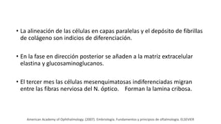 • La alineación de las células en capas paralelas y el depósito de fibrillas
de colágeno son indicios de diferenciación.
• En la fase en dirección posterior se añaden a la matriz extracelular
elastina y glucosaminoglucanos.
• El tercer mes las células mesenquimatosas indiferenciadas migran
entre las fibras nerviosa del N. óptico. Forman la lamina cribosa.
American Academy of Ophthalmology. (2007). Embriología. Fundamentos y principios de oftalmología. ELSEVIER
 