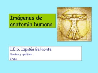 Imágenes de anatomía humana I.E.S. Izpisúa Belmonte Nombre y apellidos: Grupo: 