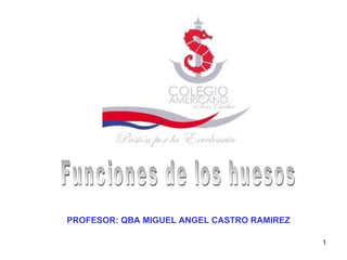 Funciones de los huesos PROFESOR: QBA MIGUEL ANGEL CASTRO RAMIREZ 