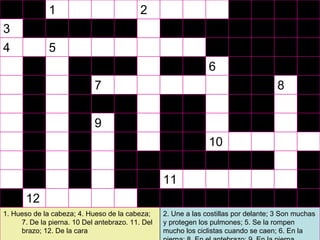 2. Une a las costillas por delante; 3 Son muchas y protegen los pulmones; 5. Se la rompen mucho los ciclistas cuando se caen; 6. En la pierna; 8. En el antebrazo; 9. En la pierna 1. Hueso de la cabeza; 4. Hueso de la cabeza; 7. De la pierna. 10 Del antebrazo. 11. Del brazo; 12. De la cara 12 11 10 9 8 7 6 5 4 3 2 1 