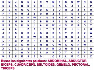 Busca las siguientes palabras: ABDOMINAL, ABDUCTOR, BICEPS, CUADRICEPS, DELTOIDES, GEMELO, PECTORAL, TRICEPS X I D E L T O I D E S E E E H O P E C T O R A L V V W J T Z N C S K H Q M A S B S Z Z D X I W R Q A W G B M L W S G S P B Z X K F E U D F P K P G P L V X J D M O E U B W B E F E H W X S E T S R C B X B C O C J H I L I P P T T I F Z I A I A T O R E S H W O A J N R D R P X M C B Q B P R B C P D W T K C I K G V X B S Y W K A O N I B U I S I Y Z H U Z Z U H P F U Y Z Z R D J E D K O C N E A P J Y J L A N I M O D B A E E S N W Q D F M V R Y N S J M C 