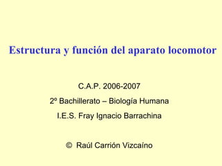 Estructura y función del aparato locomotor C.A.P. 2006-2007 2º Bachillerato – Biología Humana I.E.S. Fray Ignacio Barrachina ©  Raúl Carrión Vizcaíno 