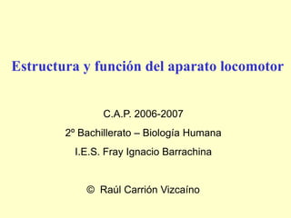 Estructura y función del aparato locomotor


                C.A.P. 2006-2007
        2º Bachillerato – Biología Humana
          I.E.S. Fray Ignacio Barrachina


            © Raúl Carrión Vizcaíno
 