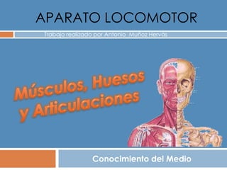 APARATO LOCOMOTOR
Conocimiento del Medio
Trabajo realizado por Antonio Muñoz Hervás
 
