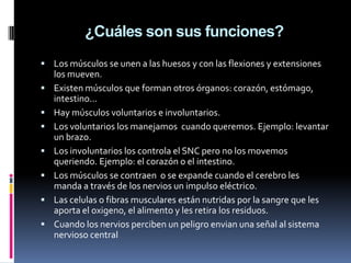 ¿Cuáles son sus funciones?
 Los músculos se unen a las huesos y con las flexiones y extensiones
    los mueven.
   Existen músculos que forman otros órganos: corazón, estómago,
    intestino...
   Hay músculos voluntarios e involuntarios.
   Los voluntarios los manejamos cuando queremos. Ejemplo: levantar
    un brazo.
   Los involuntarios los controla el SNC pero no los movemos
    queriendo. Ejemplo: el corazón o el intestino.
   Los músculos se contraen o se expande cuando el cerebro les
    manda a través de los nervios un impulso eléctrico.
   Las celulas o fibras musculares están nutridas por la sangre que les
    aporta el oxigeno, el alimento y les retira los residuos.
   Cuando los nervios perciben un peligro envian una señal al sistema
    nervioso central
 