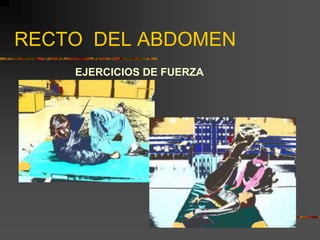 RECTO DEL ABDOMEN
EJERCICIOS DE FUERZA
 