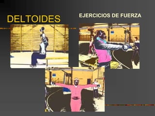 DELTOIDES
EJERCICIOS DE FUERZA
 