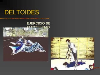 DELTOIDES
EJERCICIO DE
FLEXIBILIDAD
 
