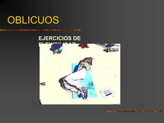 OBLICUOS
EJERCICIOS DE
FLEXIBILIDAD
 