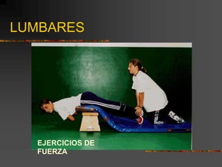 LUMBARES
EJERCICIOS DE
FUERZA
 