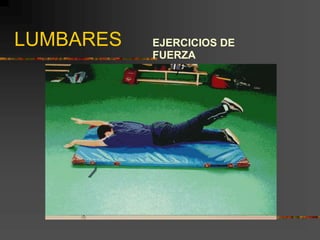 LUMBARES EJERCICIOS DE
FUERZA
 