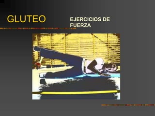 GLUTEO EJERCICIOS DE
FUERZA
 