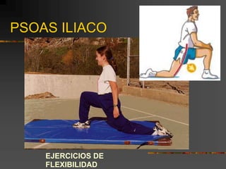 PSOAS ILIACO
EJERCICIOS DE
FLEXIBILIDAD
 