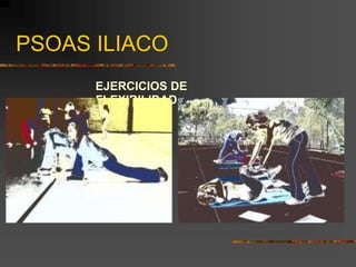 PSOAS ILIACO
EJERCICIOS DE
FLEXIBILIDAD
 