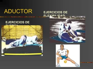 ADUCTOR
EJERCICIOS DE
FUERZA
EJERCICIOS DE
FLEXIBILIDAD
 