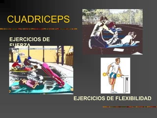 CUADRICEPS
EJERCICIOS DE
FUERZA
EJERCICIOS DE FLEXIBILIDAD
 