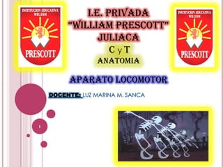 I.E. PRIVADA
“WILLIAM Prescott”
Juliaca
C y T
ANATOMIA
1
APARATO LOCOMOTOR
 