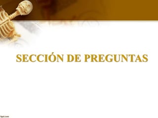 SECCIÓN DE PREGUNTAS