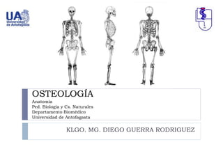 OSTEOLOGÍA
Anatomía
Ped. Biología y Cs. Naturales
Departamento Biomédico
Universidad de Antofagasta
KLGO. MG. DIEGO GUERRA RODRIGUEZ
 