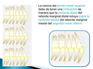 Aparatología preajustada | PPTX