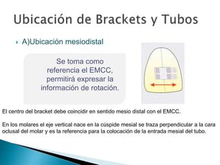  A)Ubicación mesiodistal
Se toma como
referencia el EMCC,
permitirá expresar la
información de rotación.
El centro del bracket debe coincidir en sentido mesio distal con el EMCC.
En los molares el eje vertical nace en la cúspide mesial se traza perpendicular a la cara
oclusal del molar y es la referencia para la colocación de la entrada mesial del tubo.
 