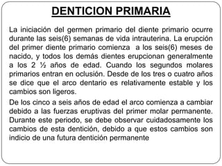 DENTICION PRIMARIA
La iniciación del germen primario del diente primario ocurre
durante las seis(6) semanas de vida intrauterina. La erupción
del primer diente primario comienza a los seis(6) meses de
nacido, y todos los demás dientes erupcionan generalmente
a los 2 ½ años de edad. Cuando los segundos molares
primarios entran en oclusión. Desde de los tres o cuatro años
se dice que el arco dentario es relativamente estable y los
cambios son ligeros.
De los cinco a seis años de edad el arco comienza a cambiar
debido a las fuerzas eruptivas del primer molar permanente.
Durante este periodo, se debe observar cuidadosamente los
cambios de esta dentición, debido a que estos cambios son
indicio de una futura dentición permanente
 