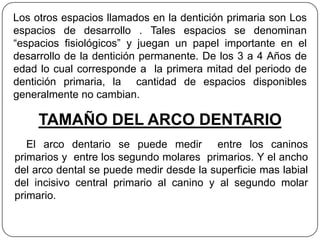 Los otros espacios llamados en la dentición primaria son Los
espacios de desarrollo . Tales espacios se denominan
“espacios fisiológicos” y juegan un papel importante en el
desarrollo de la dentición permanente. De los 3 a 4 Años de
edad lo cual corresponde a la primera mitad del periodo de
dentición primaria, la cantidad de espacios disponibles
generalmente no cambian.

     TAMAÑO DEL ARCO DENTARIO
   El arco dentario se puede medir entre los caninos
primarios y entre los segundo molares primarios. Y el ancho
del arco dental se puede medir desde la superficie mas labial
del incisivo central primario al canino y al segundo molar
primario.
 