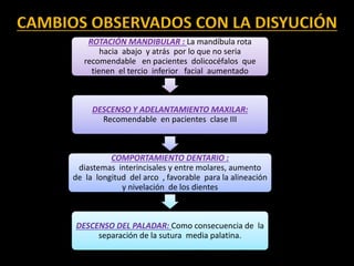 CAMBIOS OBSERVADOS CON LA DISYUCIÓN
ROTACIÓN MANDIBULAR : La mandíbula rota
hacia abajo y atrás por lo que no seria
recomendable en pacientes dolicocéfalos que
tienen el tercio inferior facial aumentado
DESCENSO Y ADELANTAMIENTO MAXILAR:
Recomendable en pacientes clase III
COMPORTAMIENTO DENTARIO :
diastemas interincisales y entre molares, aumento
de la longitud del arco , favorable para la alineación
y nivelación de los dientes
DESCENSO DEL PALADAR: Como consecuencia de la
separación de la sutura media palatina.
 