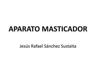 APARATO MASTICADOR
Jesús Rafael Sánchez Sustaita
 