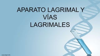 APARATO LAGRIMAL Y
VÍAS
LAGRIMALES
 