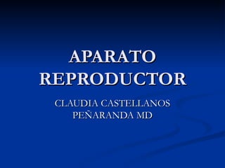 APARATO REPRODUCTOR CLAUDIA CASTELLANOS PEÑARANDA MD 