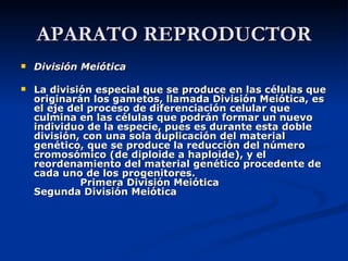 APARATO REPRODUCTOR División Meiótica La división especial que se produce en las células que originarán los gametos, llamada División Meiótica, es el eje del proceso de diferenciación celular que culmina en las células que podrán formar un nuevo individuo de la especie, pues es durante esta doble división, con una sola duplicación del material genético, que se produce la reducción del número cromosómico (de diploide a haploide), y el reordenamiento del material genético procedente de cada uno de los progenitores.               Primera División Meiótica                    Segunda División Meiótica                                                                  
