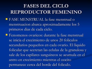 FASES DEL CICLO REPRODUCTOR FEMENINO FASE MENSTRUAL la fase menstrual o menstruacion abarca aproximadamente los 5 primeros dias de cada ciclo.  Fenomenos ovaricos: durante la fase menstrual se inicia el crecimiento de unos 20 foliculos secundarios pequeños en cada ovario. El liquido folicular que secretan las celulas de la granulosa y sale de los capilares sanguineos se acumula en el antro en crecimiento mientras el oocito permanece cerca del borde del foliculo. 