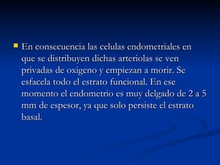 En consecuencia las celulas endometriales en que se distribuyen dichas arteriolas se ven privadas de oxigeno y empiezan a morir. Se esfacela todo el estrato funcional. En ese momento el endometrio es muy delgado de 2 a 5 mm de espesor, ya que solo persiste el estrato basal. 